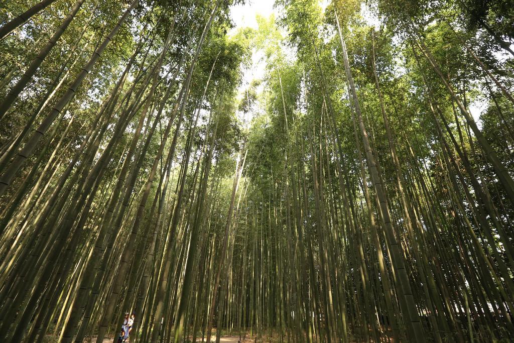 Aparthotel The Grandwest Arashiyama 4*